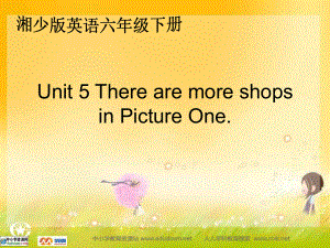 湘少版六下Unit5TherearemoreshopsinPictu