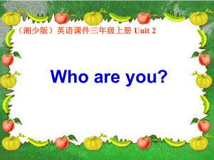 湘少版三上Unit2Whoareyou