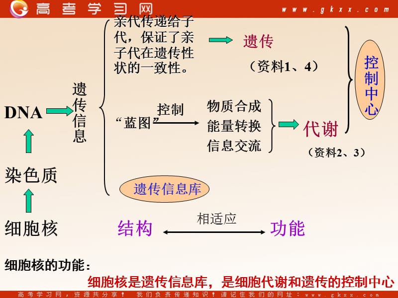 高中生物《物质的跨膜运输》课件5（26张PPT）（苏教版必修1）_第3页