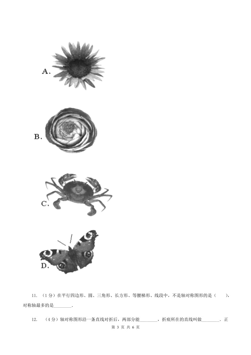 北师大版数学五年级上册第二单元第一课时 轴对称再认识（一） 同步测试（I）卷_第3页