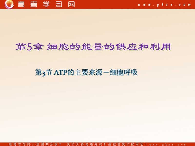 高中生物《ATP的主要来源——细胞呼吸》课件3（30张PPT）（新人教版必修1）_第2页