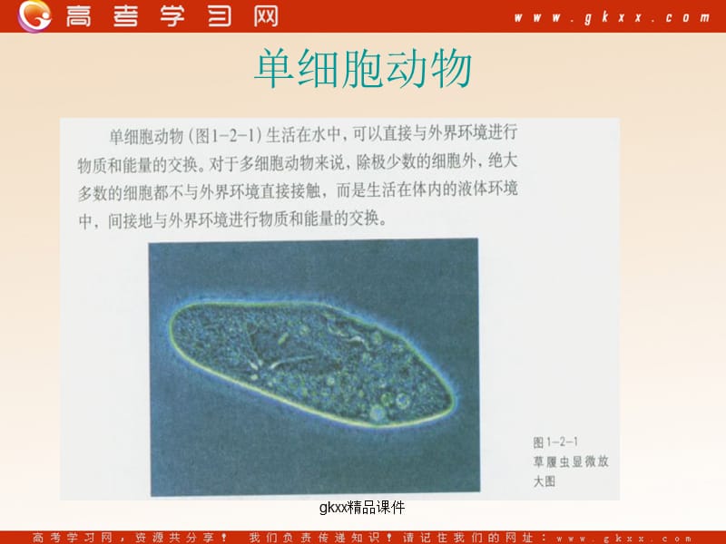 高中生物《内环境与稳态 》课件1（9张PPT）（中图版必修3）_第3页