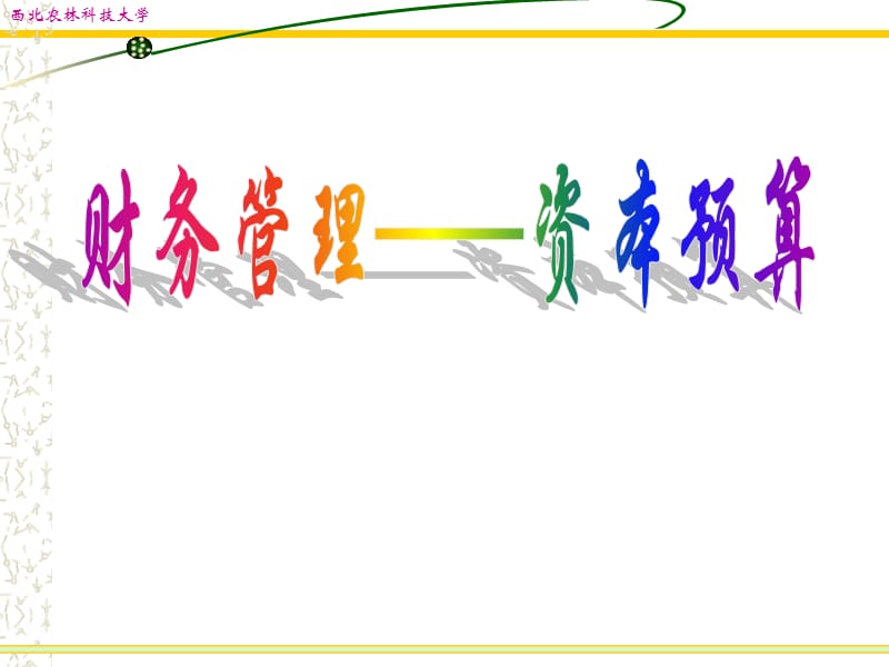 《资本预算》PPT课件_第1页
