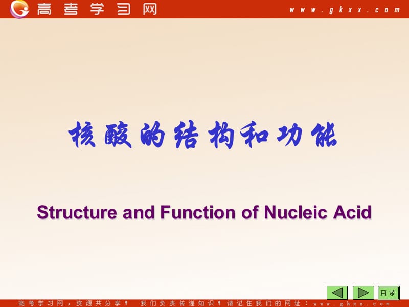 高中生物《核酸的结构和功能》课件3（66张PPT）（中图版必修1）_第2页