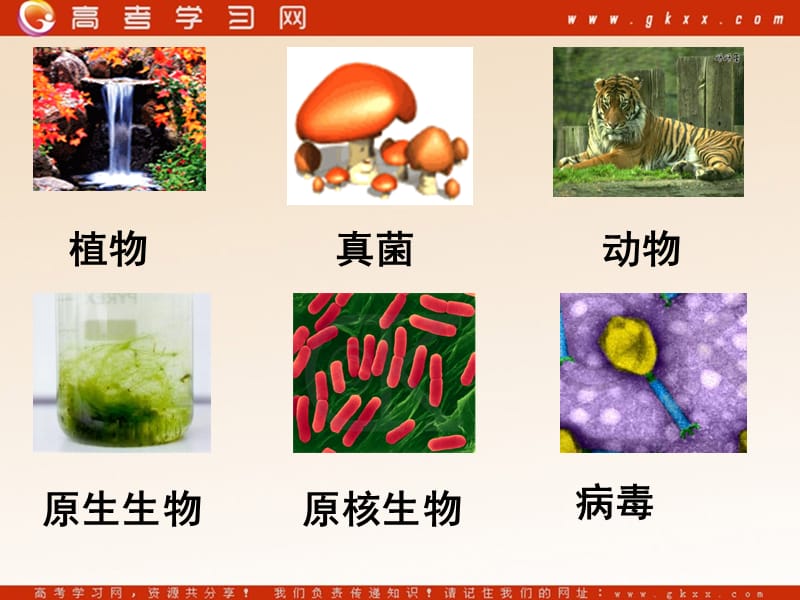 高中生物《细胞中的原子和分子》课件1（21张PPT）（苏教版必修1）_第2页