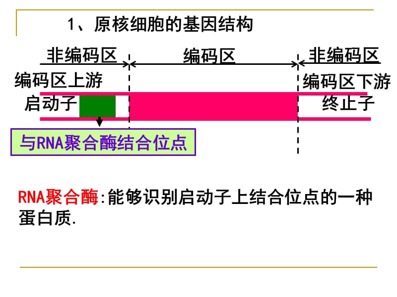 高中生物《基因工程的基本操作程序》课件五（49张PPT）（人教版选修3）_第3页