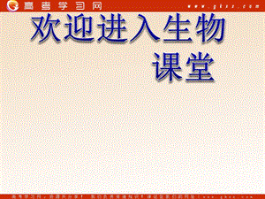 高中生物《神經(jīng)調(diào)節(jié)與體液調(diào)節(jié)的關(guān)系》課件18（20張PPT）（新人教版必修3）