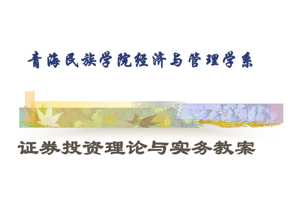 證券投資學(xué)教案 總論(青海民族學(xué)院-李毅)_第1頁(yè)