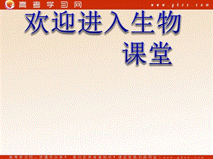 高中生物《生物群落的基本單位——種群》課件1（19張PPT）（蘇教版必修1）