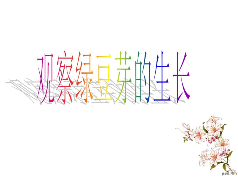 《觀察綠豆芽的生長(zhǎng)》PPT課件_第1頁(yè)