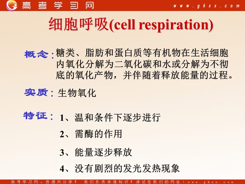 高中生物《细胞呼吸》课件5（22张PPT）（浙教版必修1）_第3页