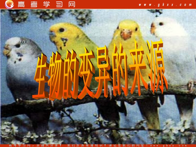 高中生物《生物的变异的来源》课件2（40张PPT）（浙科版必修2）_第3页