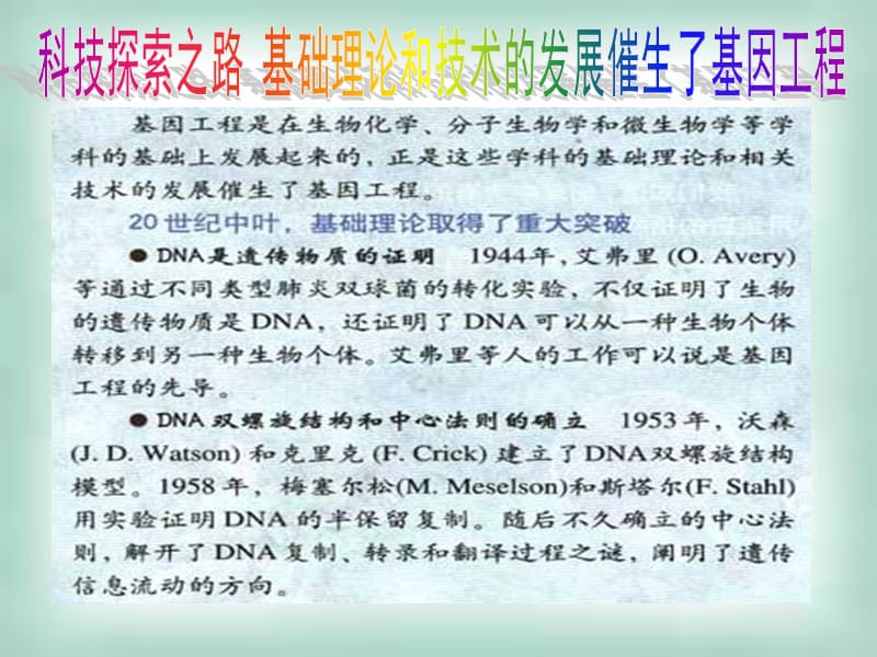 高中生物《DNA重组技术的基本工具》课件三（30张PPT）（人教版选修3）_第3页