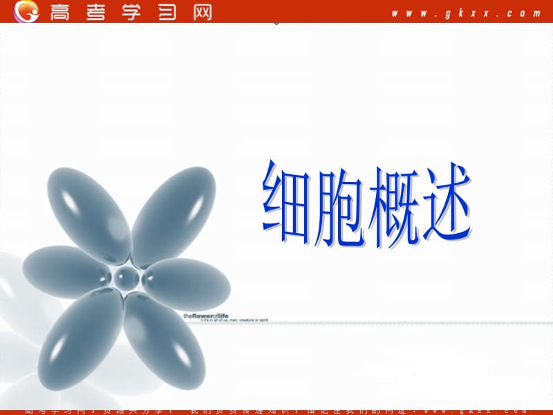 高中生物《细胞概述》课件5（24张PPT）（浙教版必修1）_第2页