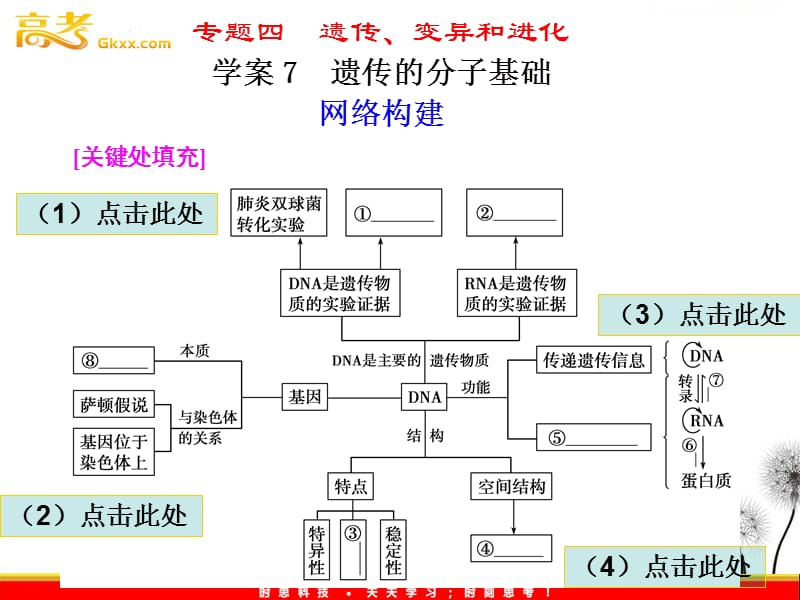 高中生物《金牌学案》2012届高考生物二轮专题复习课件：知识专题4学案7遗传的分子基础_第2页