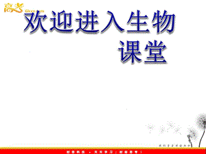 高中生物《金牌學(xué)案》2012屆高考生物二輪專題復(fù)習(xí)課件：知識專題4學(xué)案7遺傳的分子基礎(chǔ)