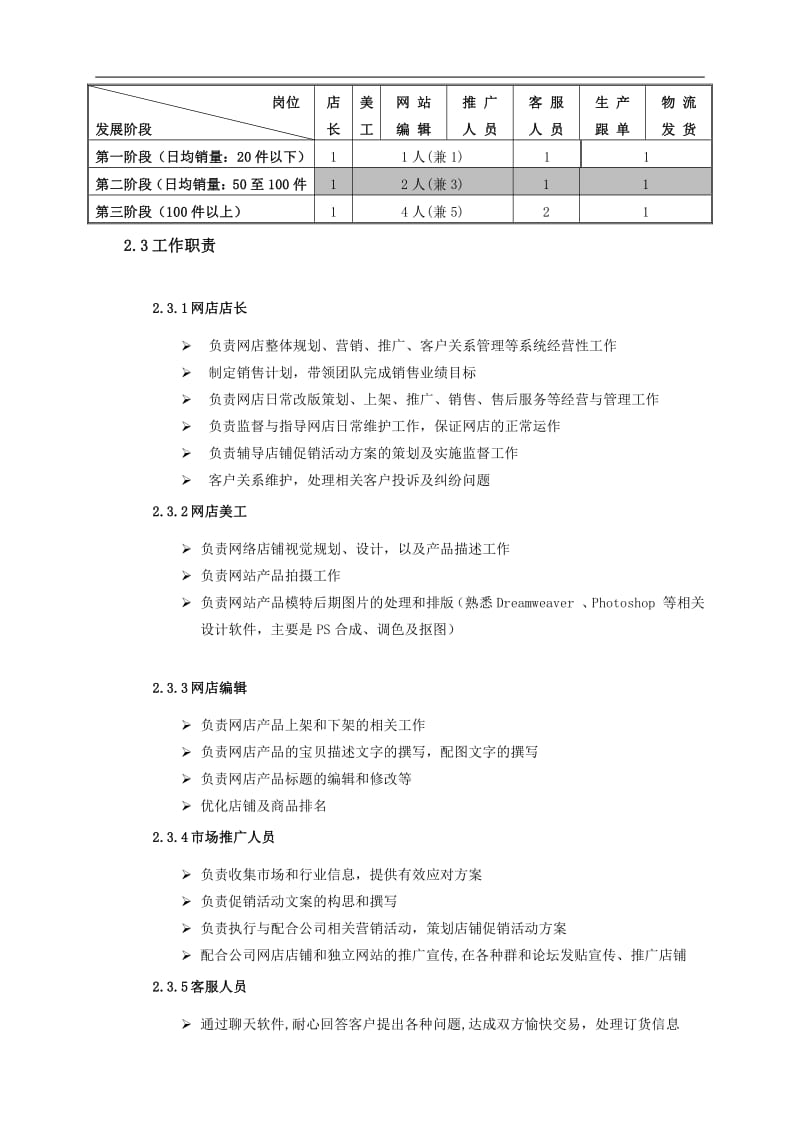 电商运营策划方案_第2页