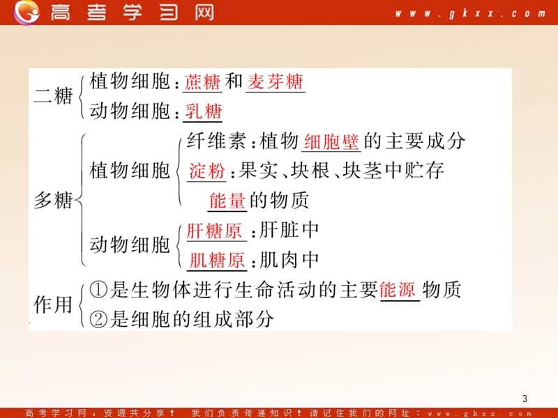 高中生物《有机化合物及生物大分子》课件8（57张PPT）（浙科版必修1）_第3页