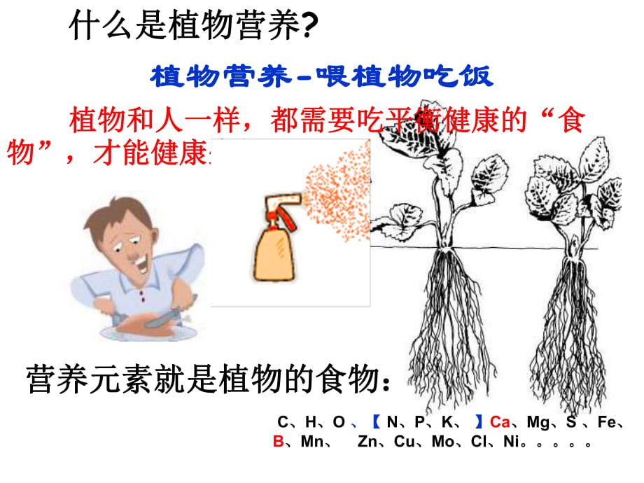 《談談草莓施肥》PPT課件_第1頁