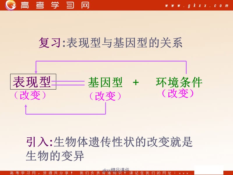 高中生物《基因突变和基因重组》 课件1（41张PPT）（苏教版必修2）_第3页