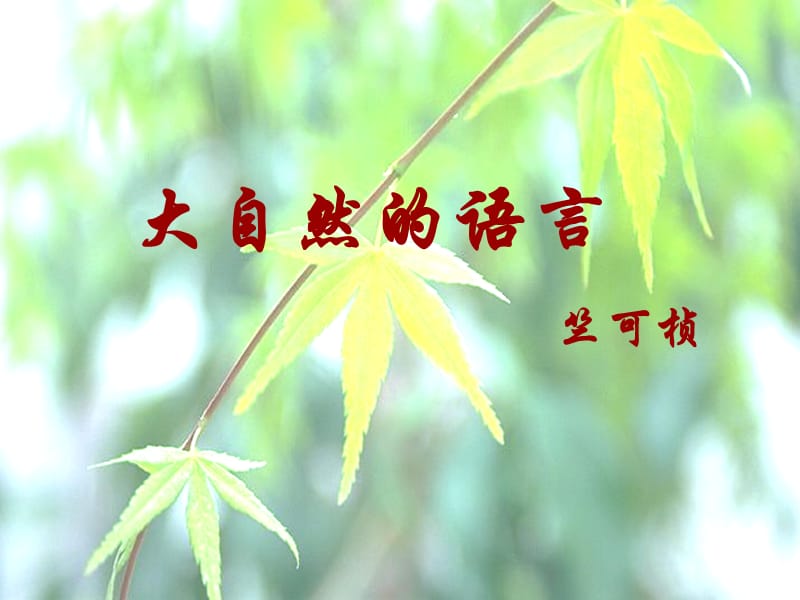 語(yǔ)文上冊(cè)第四單元第16課《大自然的語(yǔ)言》課件人教_第1頁(yè)