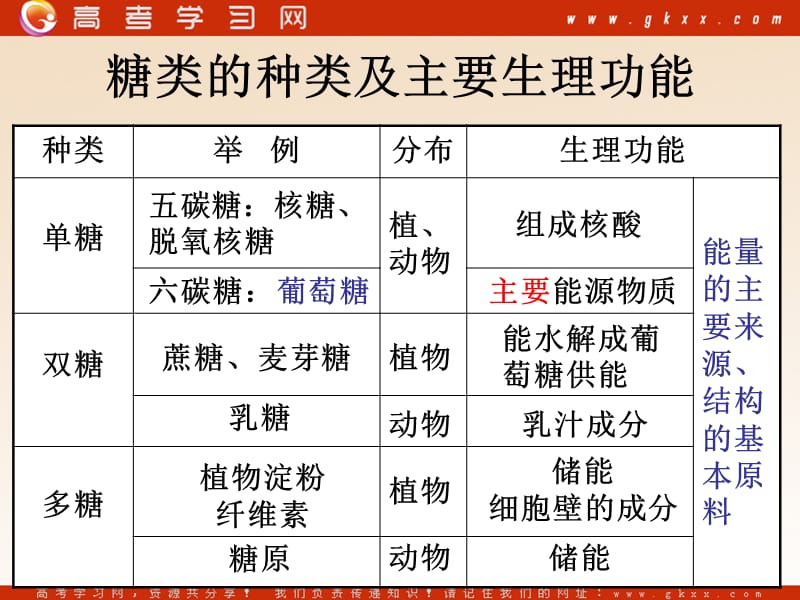 高中生物《生物体中的有机化合物》课件2（40张PPT）（沪科版第一册）_第3页