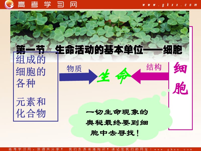 高中生物《生命活动的基本单位——细胞》课件2（22张PPT）（苏教版必修1）_第2页