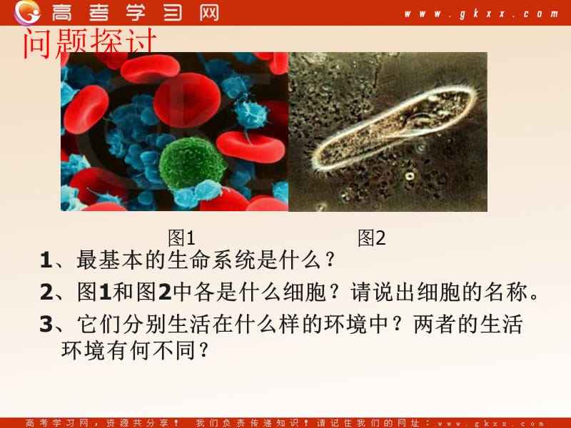 高中生物《细胞生活的环境》课件3（19张PPT）（人教版必修3）_第2页