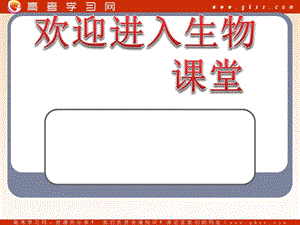 高中生物《基因?qū)π誀畹目刂啤氛n件7（29張PPT）（人教版必修2）