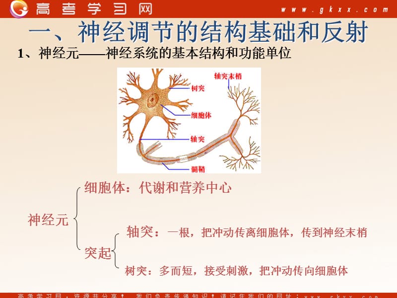 高中生物《通过神经系统的调节》课件10（24张PPT）（人教版必修3）_第3页