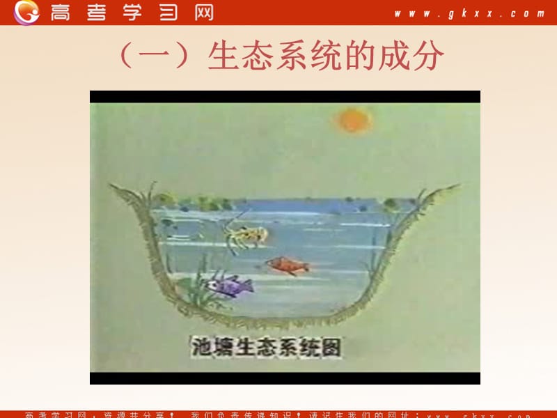 高中生物《生态系统的结构》课件6（22张PPT）（人教版必修3）_第3页