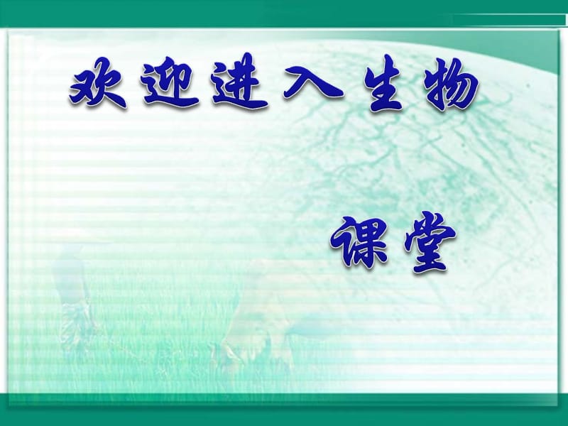 高中生物《细胞中的无机物》课件一（23张PPT）（新人教版必修1）_第1页