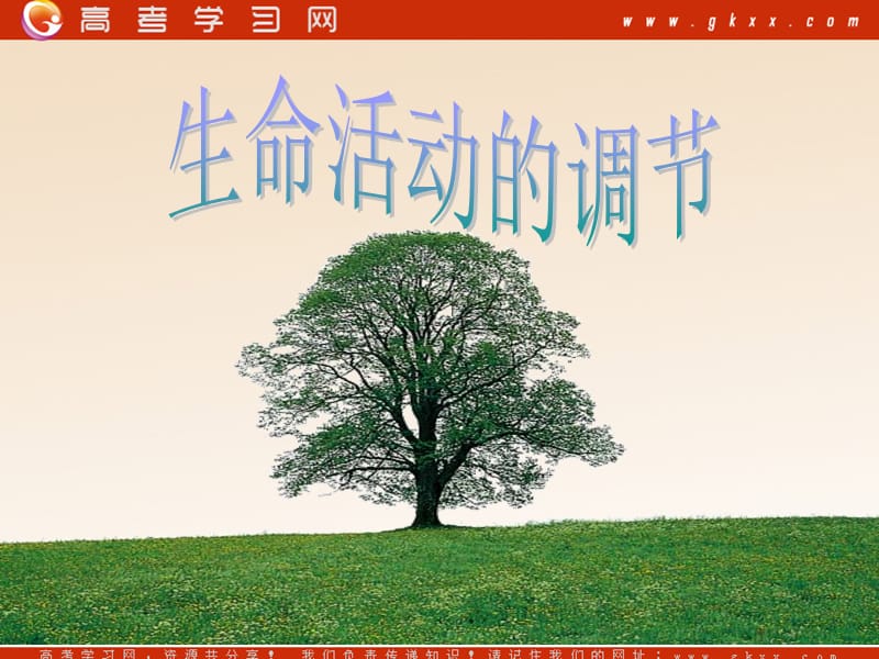 高中生物《植物生命活动的调节》课件6（16张PPT）（苏教版必修3）_第2页