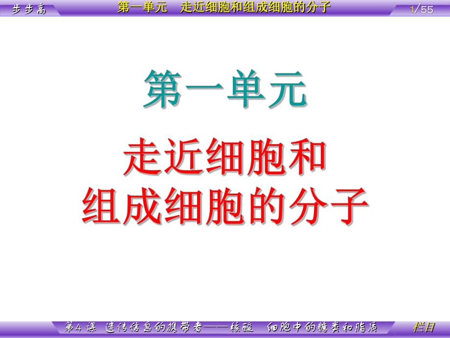 课时遗传信息的携带者-核酸细胞中的糖类和脂质_第1页