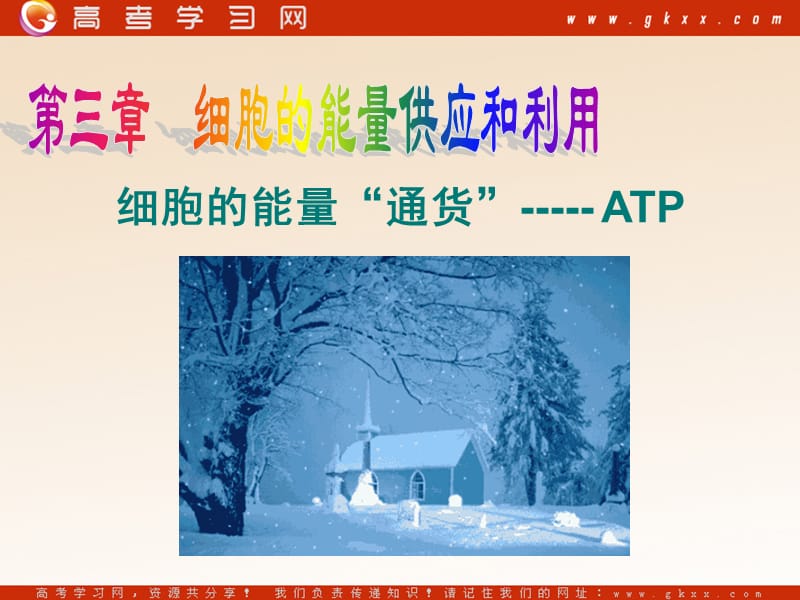 高中生物《细胞的能量“通货”──ATP》课件2（19张PPT）（人教版必修1）_第2页