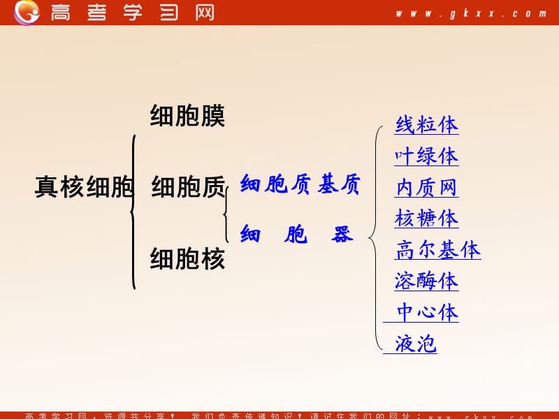 高中生物《细胞器——系统内的分工合作》课件17（33张PPT）（人教版必修1）_第3页