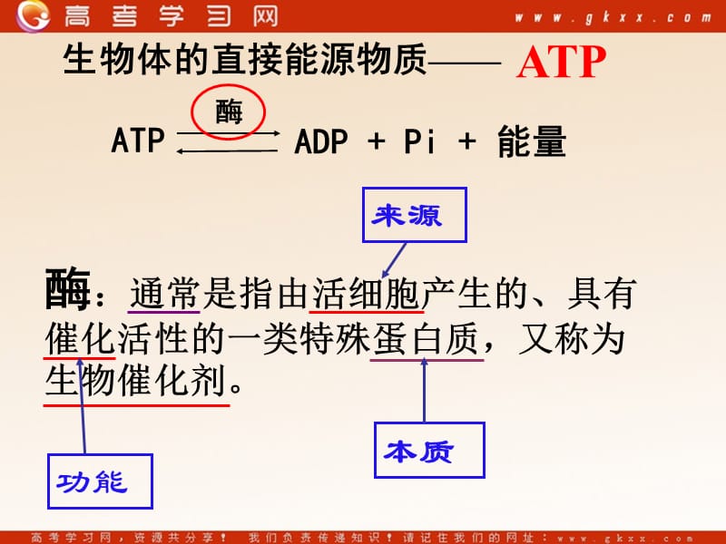 高中生物《ATP和酶》课件3（17张PPT）（苏教版必修1）_第3页