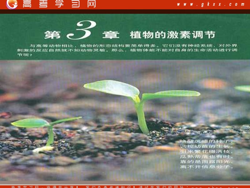 高中生物《其他植物激素》课件4（16张PPT）（人教版必修3）_第2页