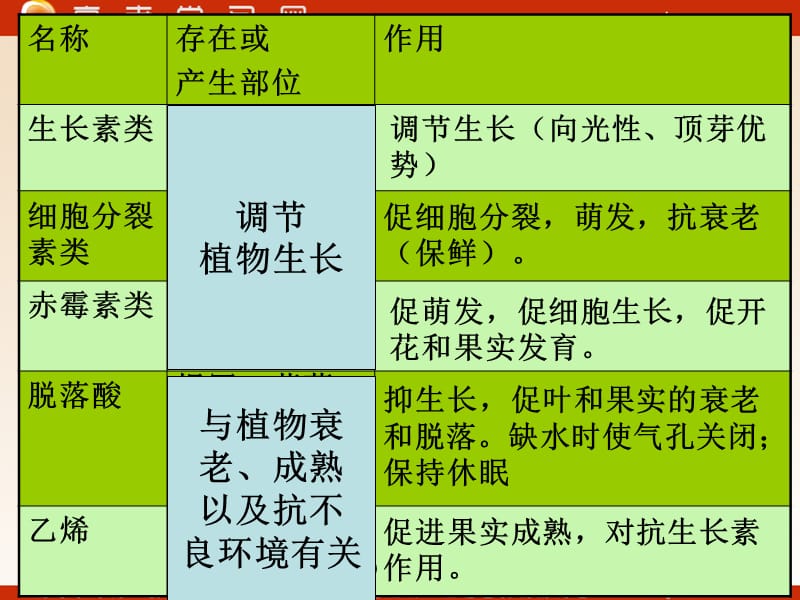 高中生物《植物激素》课件1（28张PPT）_第3页