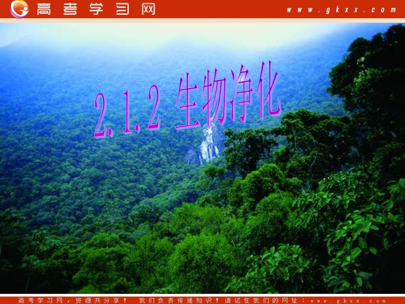 高中生物《生物净化》课件1（17张PPT）（中图版选修2）_第2页