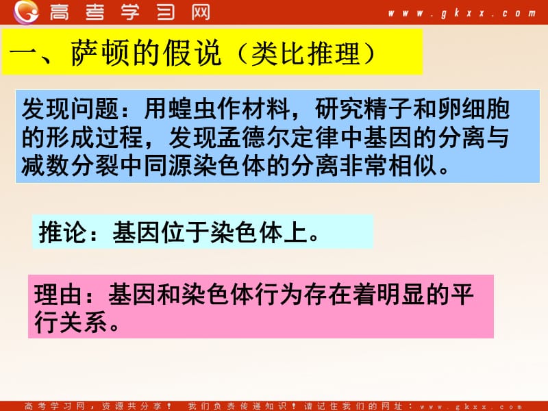 高中生物《基因在染色体上》课件5（30张PPT）（人教版必修2）_第3页