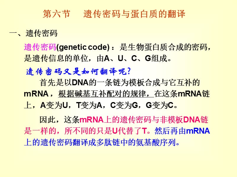 《遗传密码》PPT课件_第1页