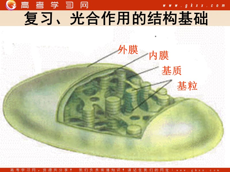 高中生物《能量之源——光与光合作用》课件4（19张PPT）（人教版必修1）_第3页