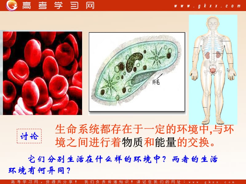 高中生物《内环境与稳态》课件1（30张PPT）_第3页