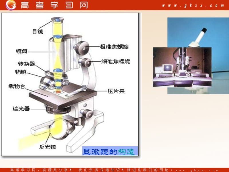 高中生物《细胞概述》课件7（52张PPT）（浙科版必修1）_第2页