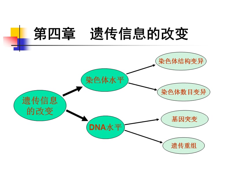 《遺傳信息的改變》PPT課件_第1頁