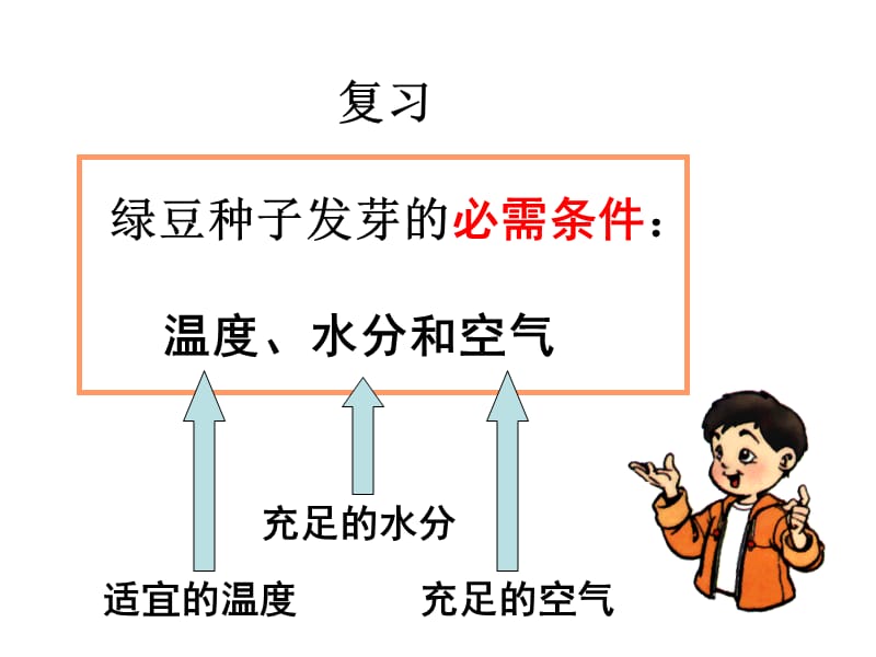 觀察綠豆芽的生長(精)_第1頁