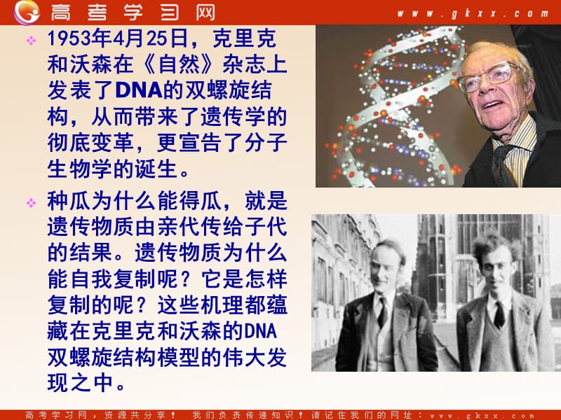 高中生物《DNA的分子结构》课件2（21张PPT）（中图版必修2）_第3页