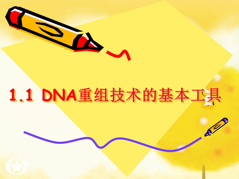 高中生物《DNA重组技术的基本工具》课件一（22张PPT）（人教版选修3）_第2页