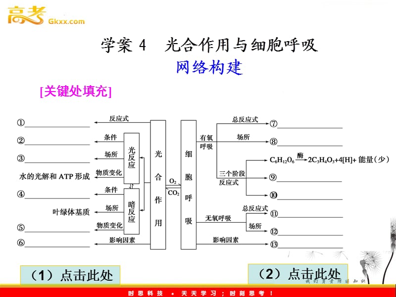 高中生物《金牌学案》2012届高考生物二轮专题复习课件：知识专题2学案4光合作用与细胞呼吸_第2页